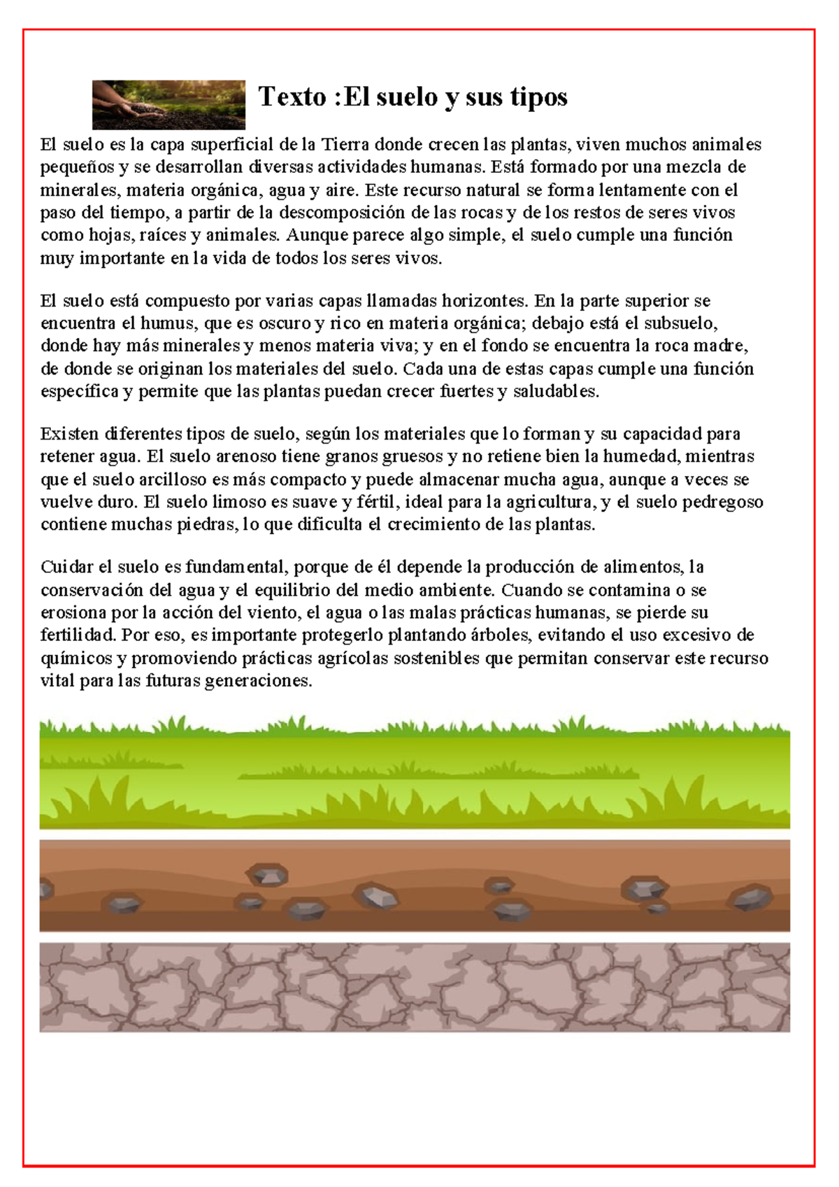 Tipos de Suelo y su Importancia en el Medio Ambiente - Studocu
