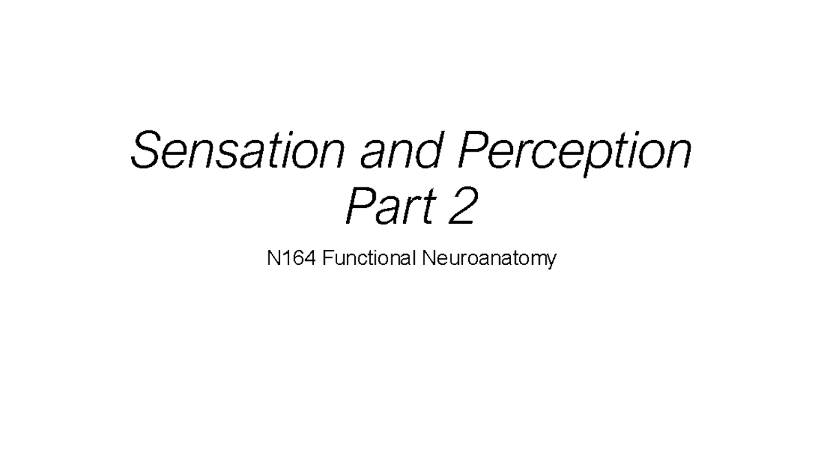 N164 Final Exam Study Guide: Sensation and Perception of the Visual ...