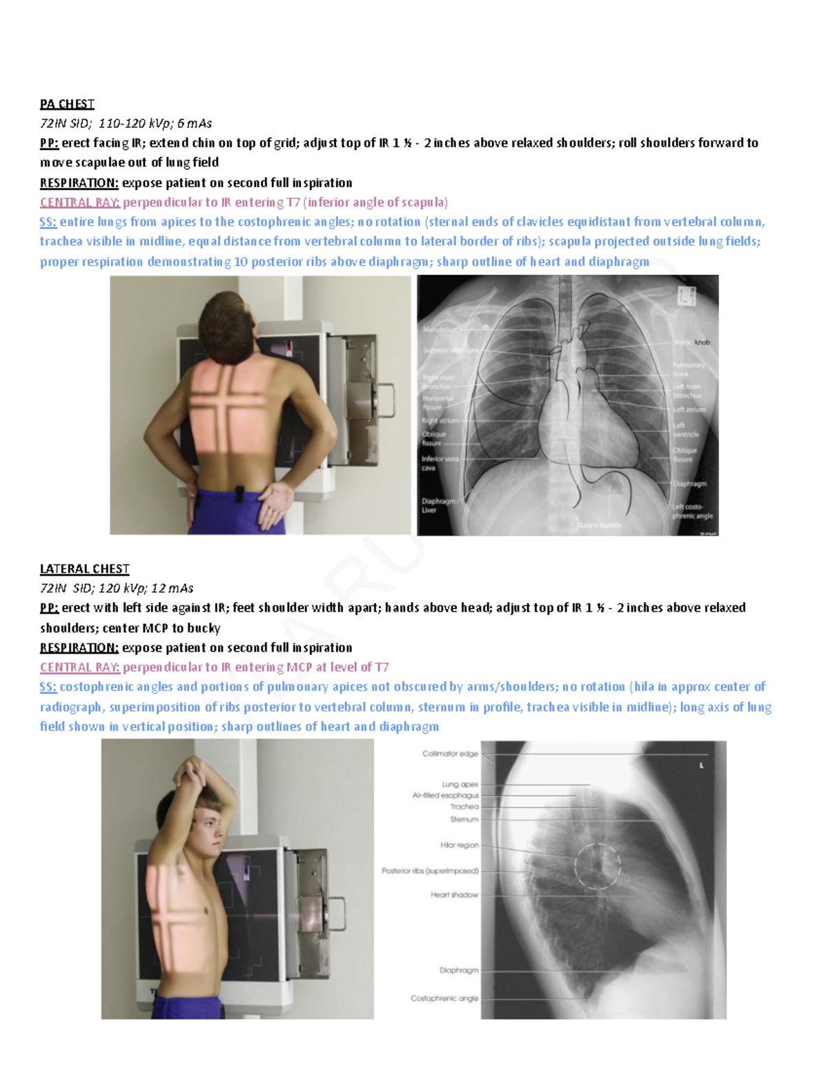 Procedural Exams: Radiographic Techniques for Chest and Abdomen - Studocu