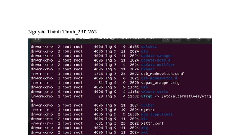 Comparative Analysis of stat(1) Command in GNU Coreutils vs NetBSD ...