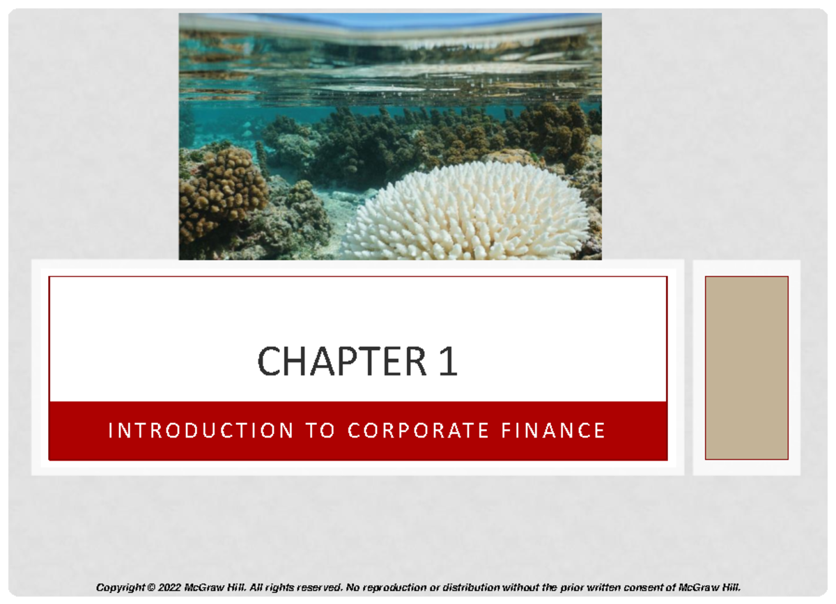 CHAPTER 1: INTRODUCTION TO CORPORATE FINANCE - Studocu