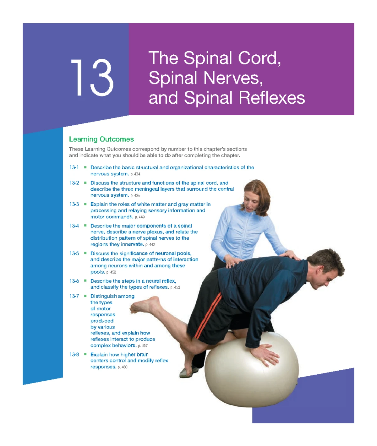Understanding Spinal Cord Anatomy and Reflex Mechanisms - The Spinal ...