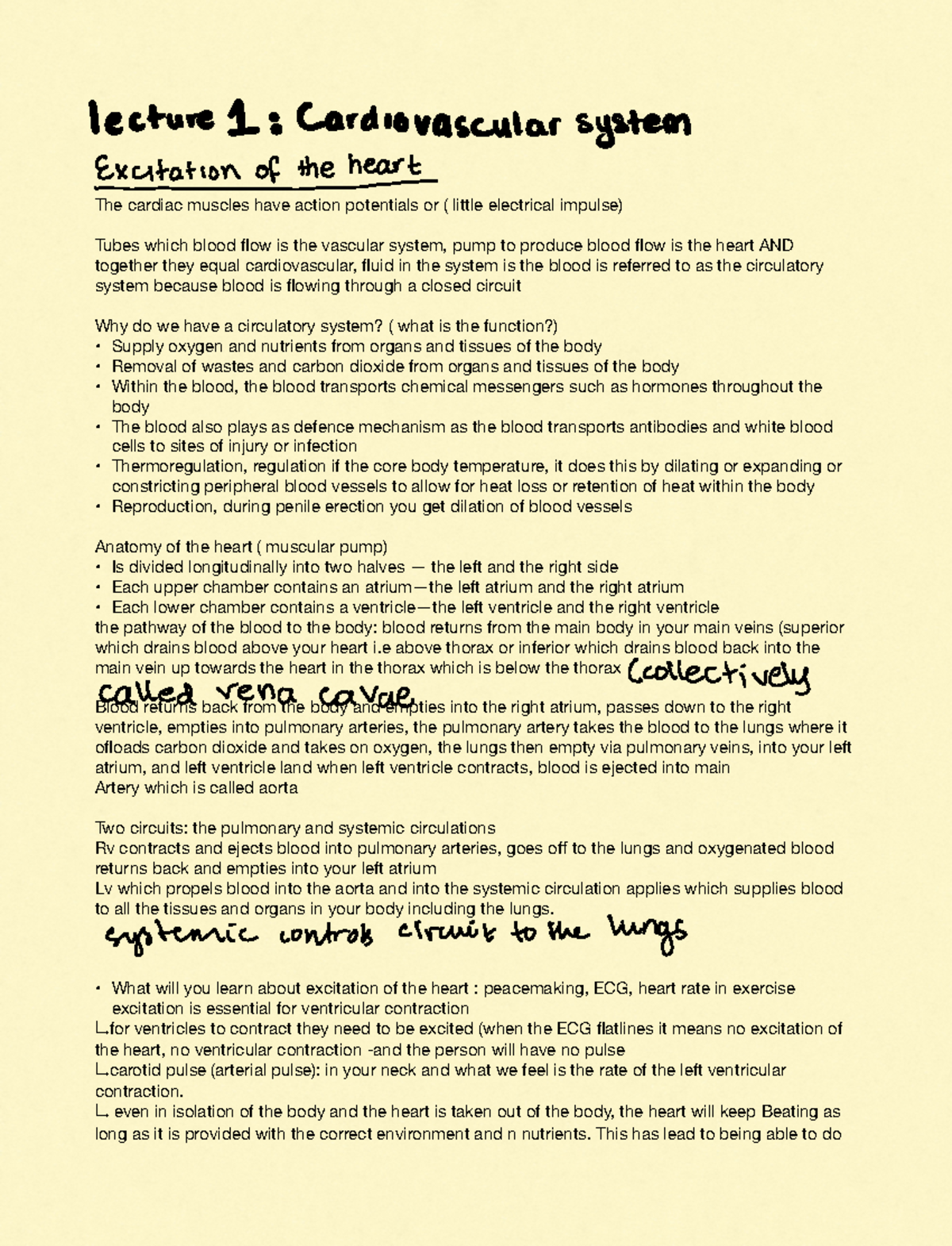 Lecture 1 Notes on Cardiovascular System and Heart Function - Studocu