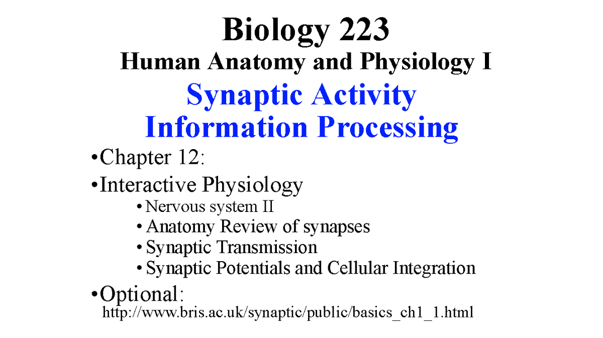 Biology 223: Chapter 12 - Synaptic Activity Lecture Notes - Studocu