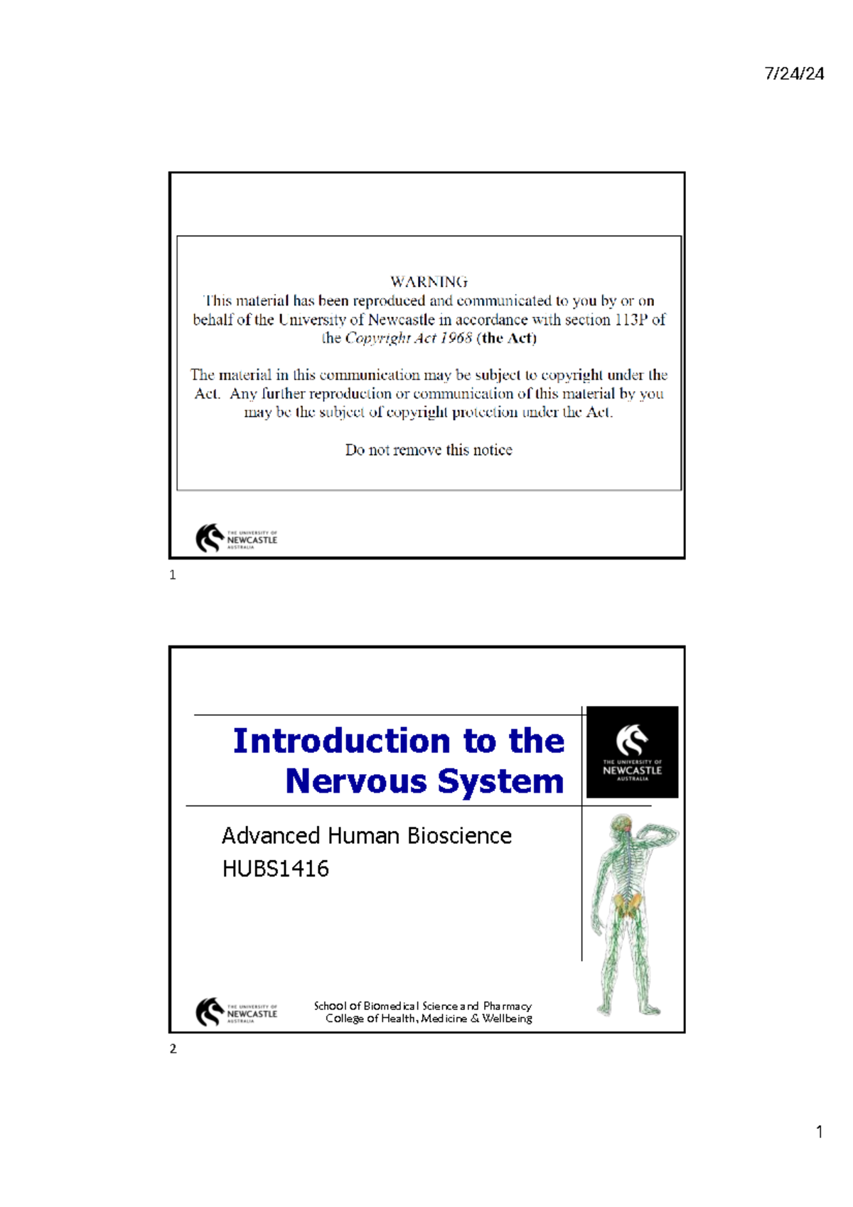 HUBS1416 Lecture Notes: Introduction to the Nervous System - Studocu