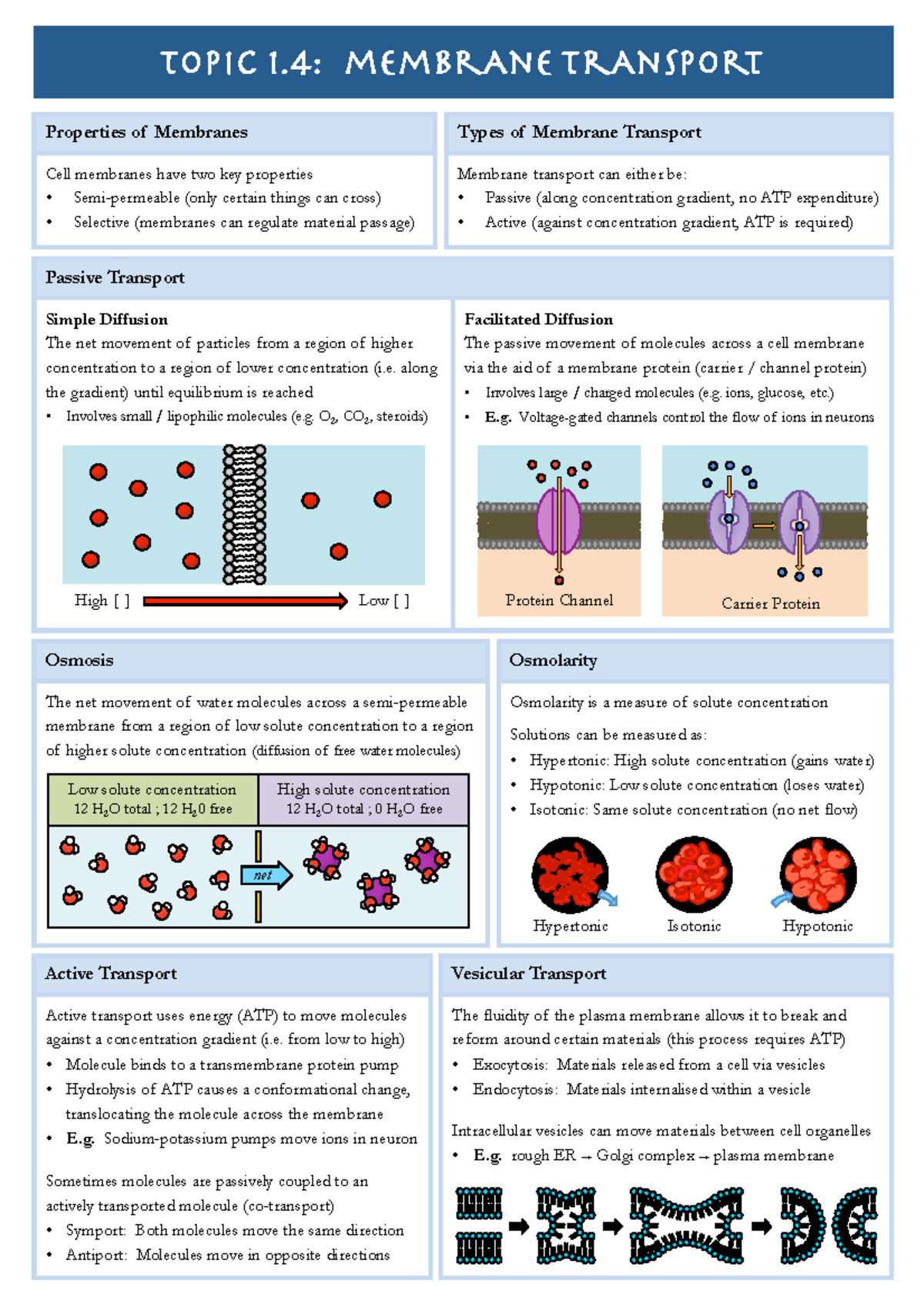 1.4 Membrane Transport: Properties and Mechanisms of Membrane Transport ...