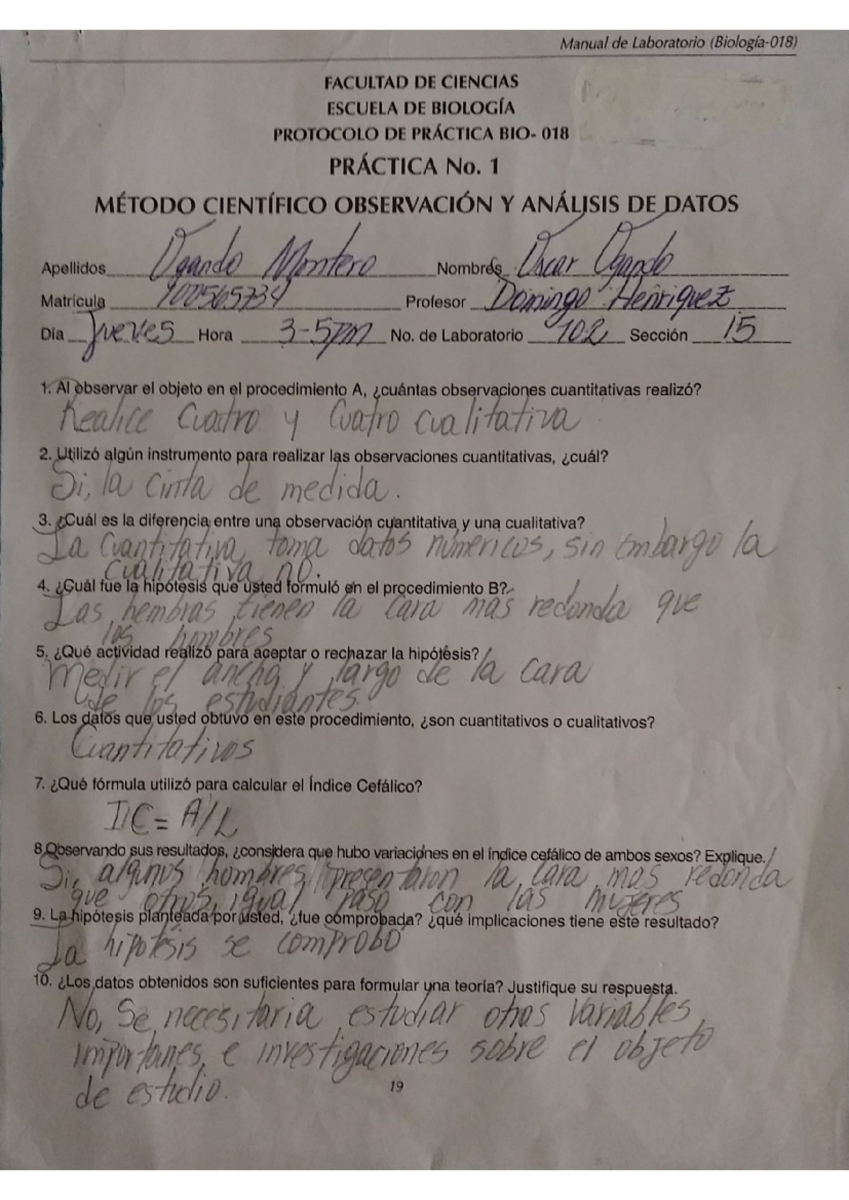 Protocolos de Práctica 1 a 10 y Procedimientos Específicos - Document Preview