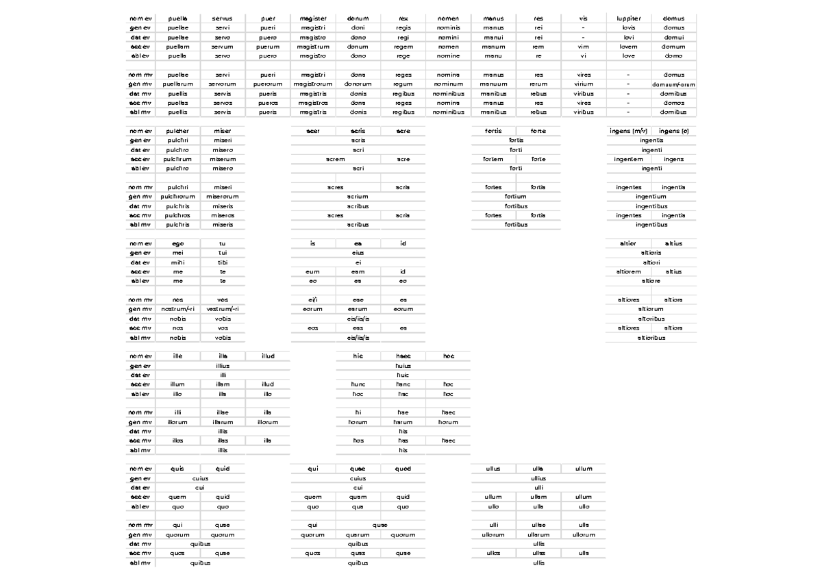 LA 16 06 - Latin Grammar: Declensions and Conjugations Notes - Studeersnel