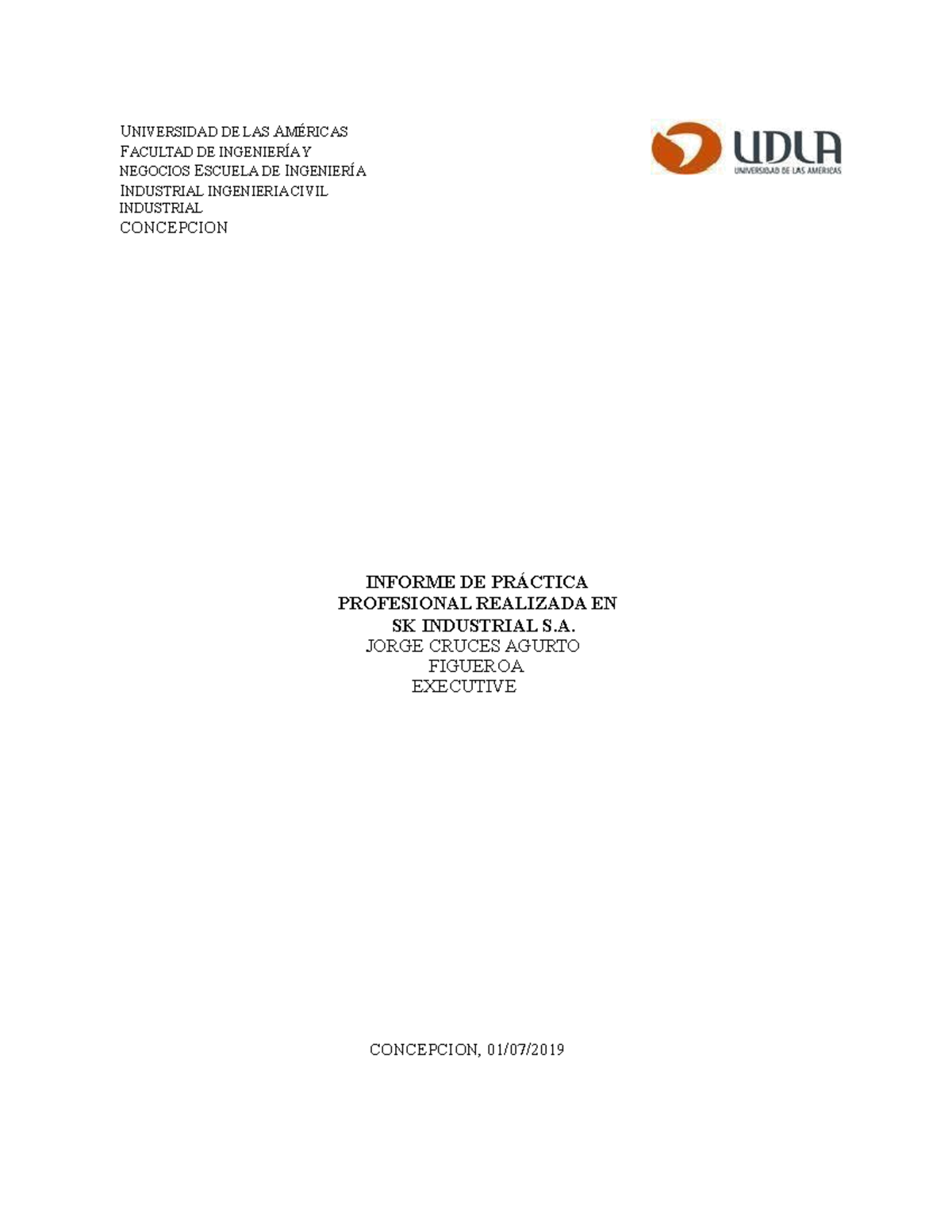 INFORME DE PRÁCTICA PROFESIONAL EN SK INDUSTRIAL S.A. - INGENIERÍA CIVIL - Document Preview