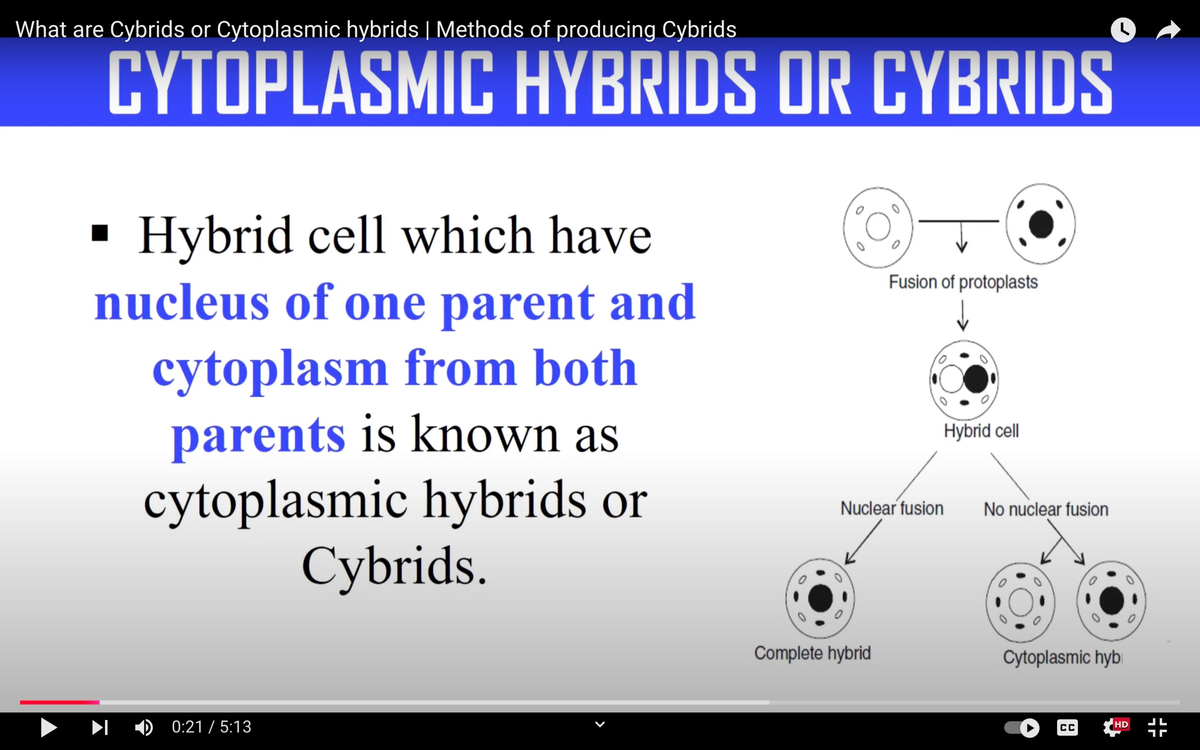 Cybrid Production Techniques and Methods Explained - Biology 101 - Studocu