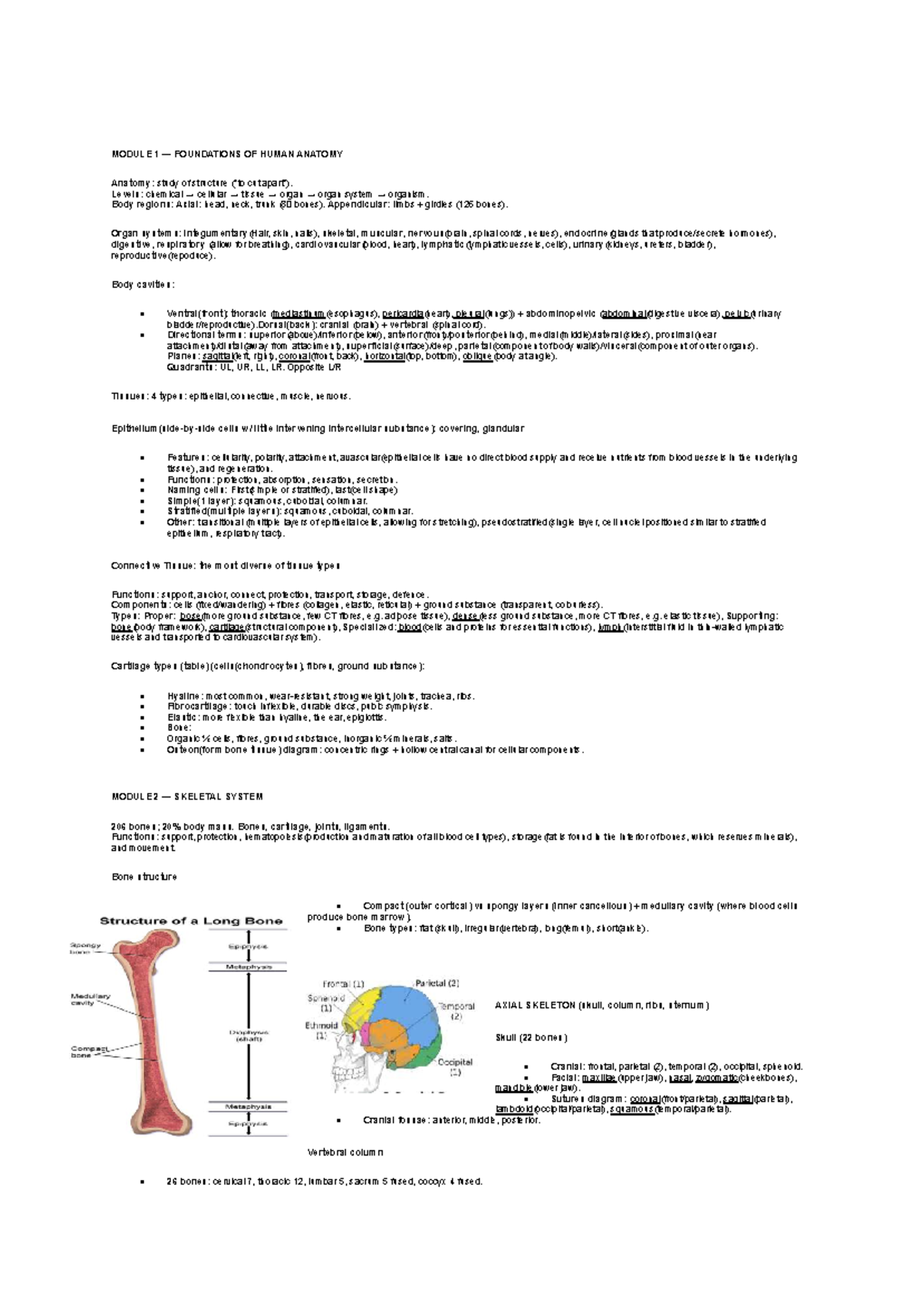 ANAT 101 Cheat Sheet: Foundations of Human Anatomy & Skeletal System ...