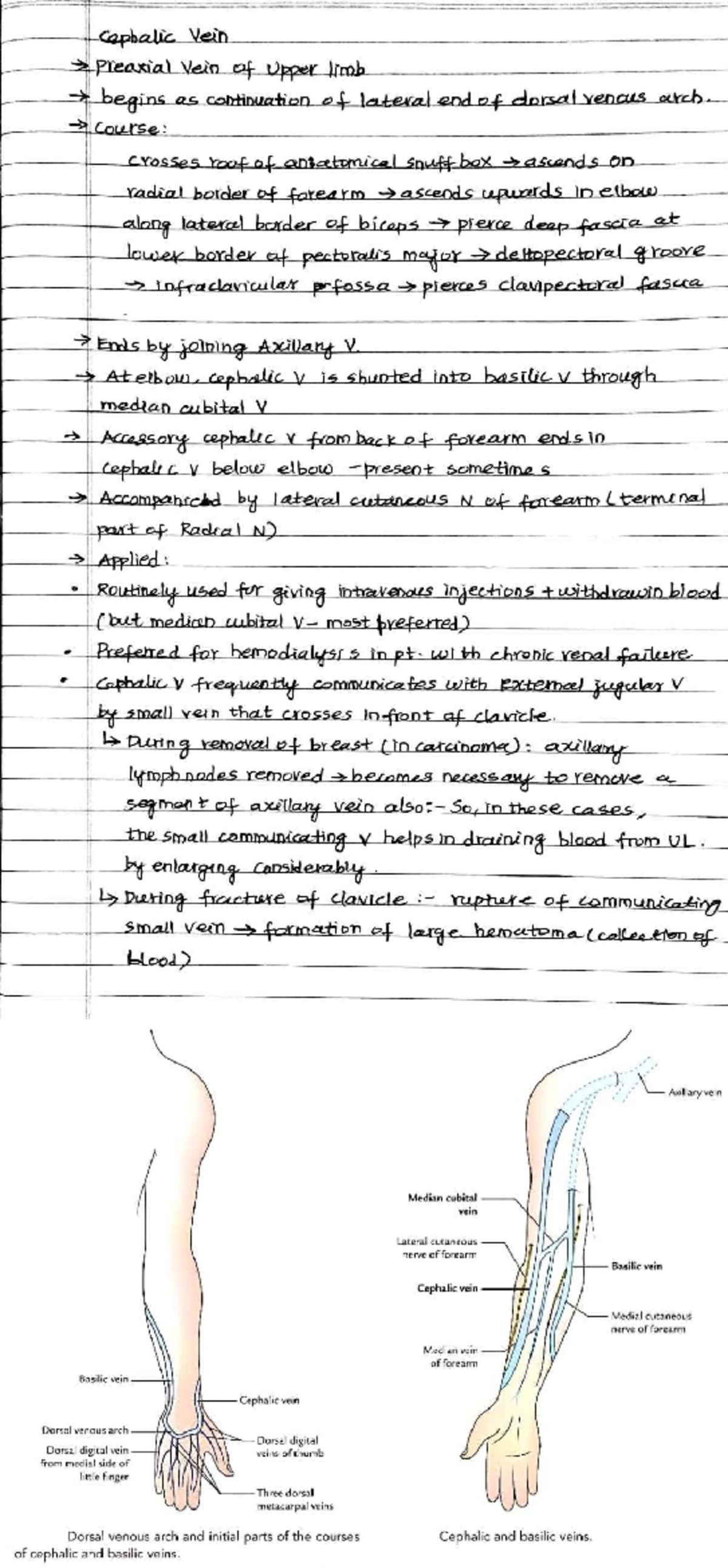 BIO 101: Key Takeaways on Kingdom Monera and Protista - Studocu