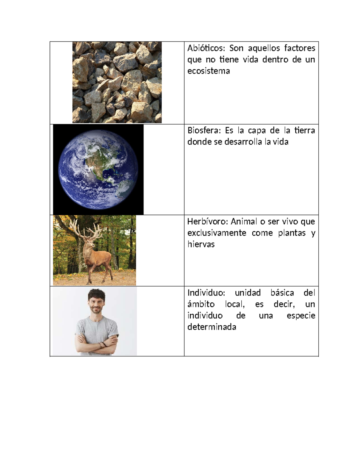 Glosario de Términos de Ecología: Conceptos Clave - Studocu