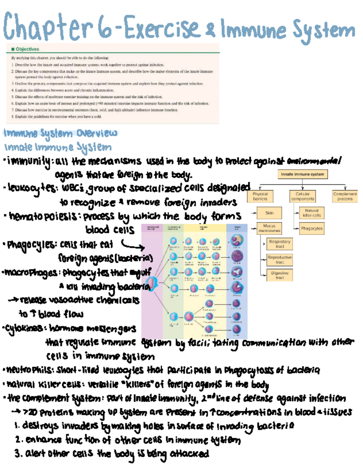 Chapter 6 - Exercise and the Immune System Overview - Studocu