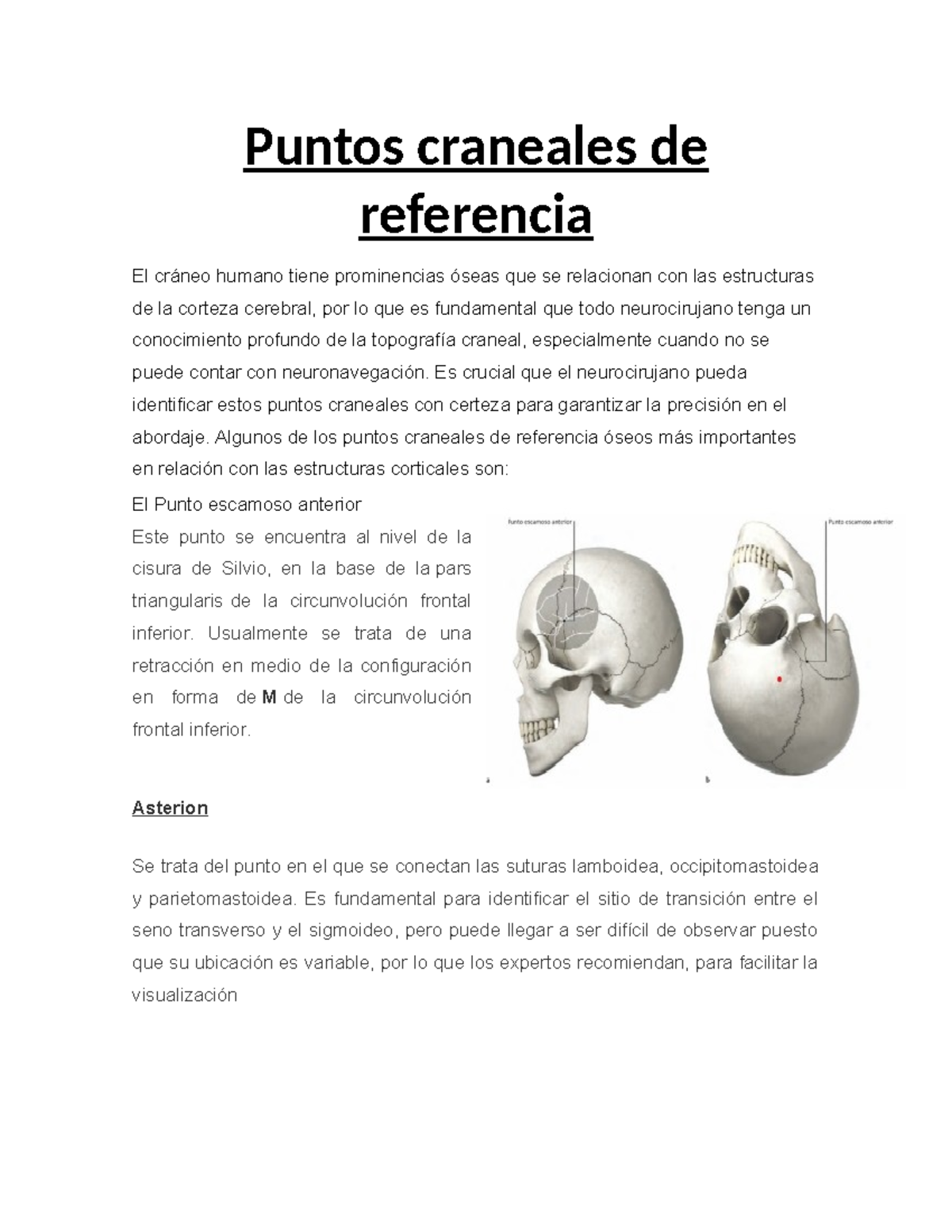 Puntos craneales de referencia - Puntos craneales de referencia El ...