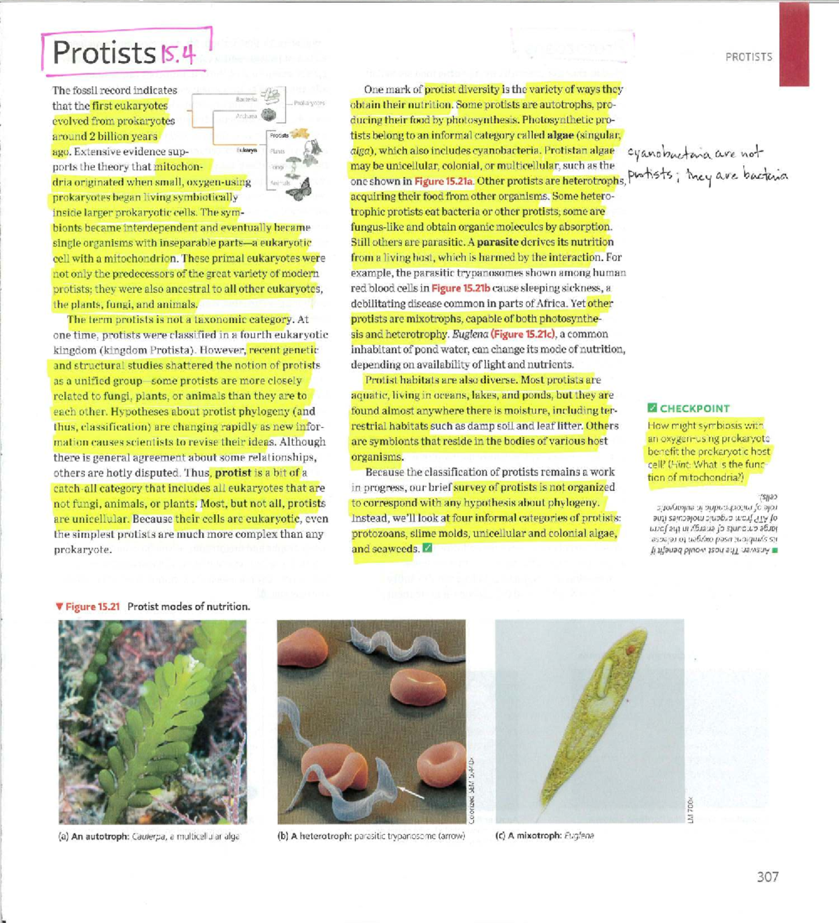Final Exam Review Notes for PSY101: Understanding Protists and Their ...