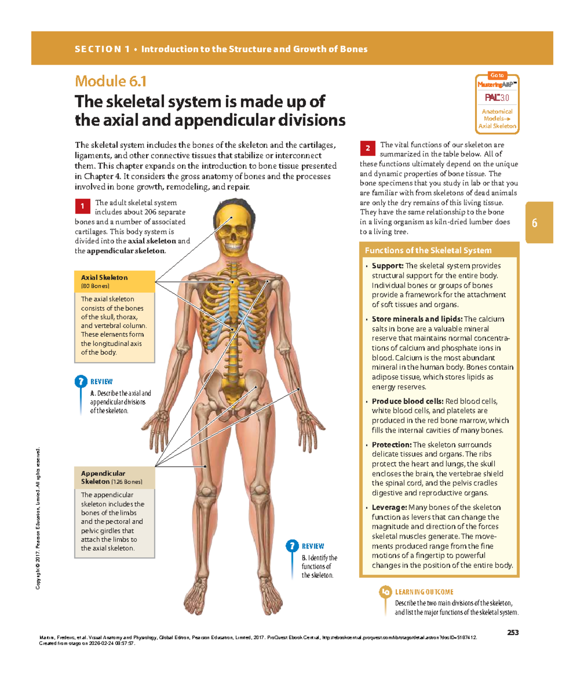 Module 6.1: Introduction to the Axial and Appendicular Skeleton - Studocu