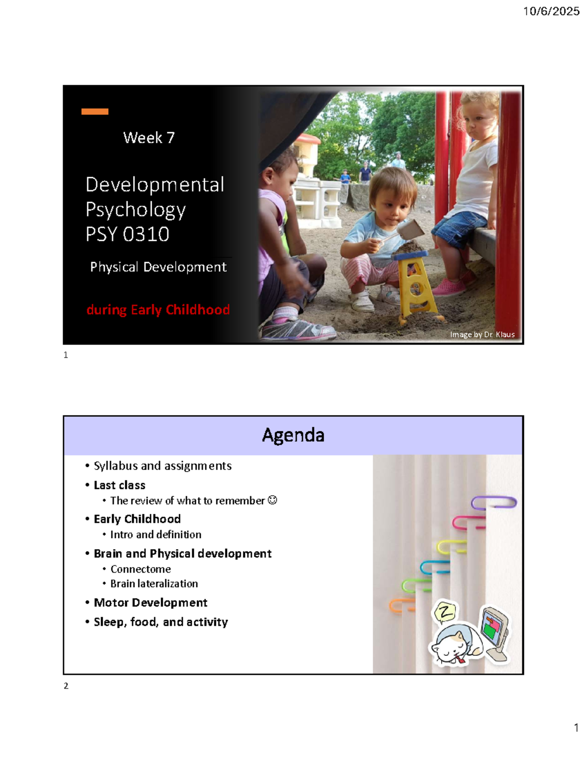 Developmental Psychology: Physical Development in Early Childhood (PSY ...