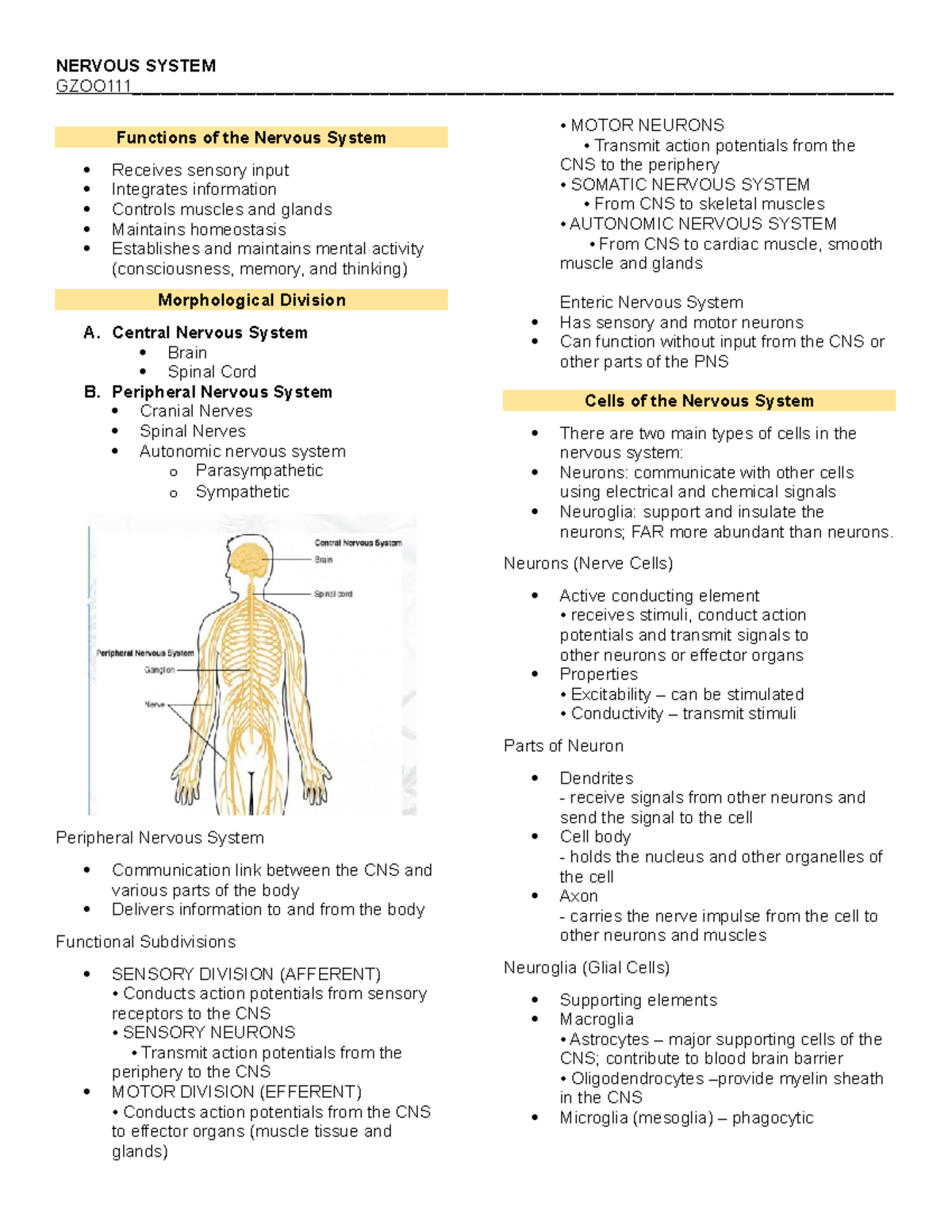 GZOO111 Nervous System Overview and Functions: Key Concepts and ...