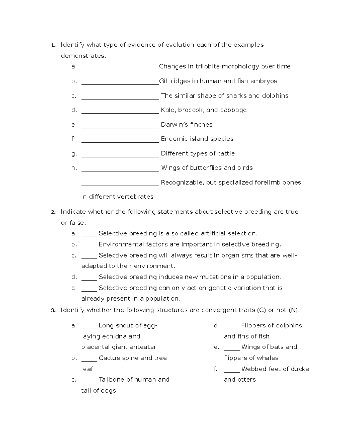 Ch. 22 Overview WS - Review on Evolution Evidence & Natural Selection ...