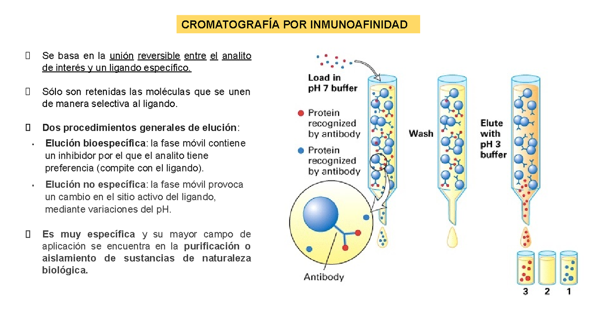 Cromatografía por Inmunoafinidad para Aislamiento de Anticuerpos IgY