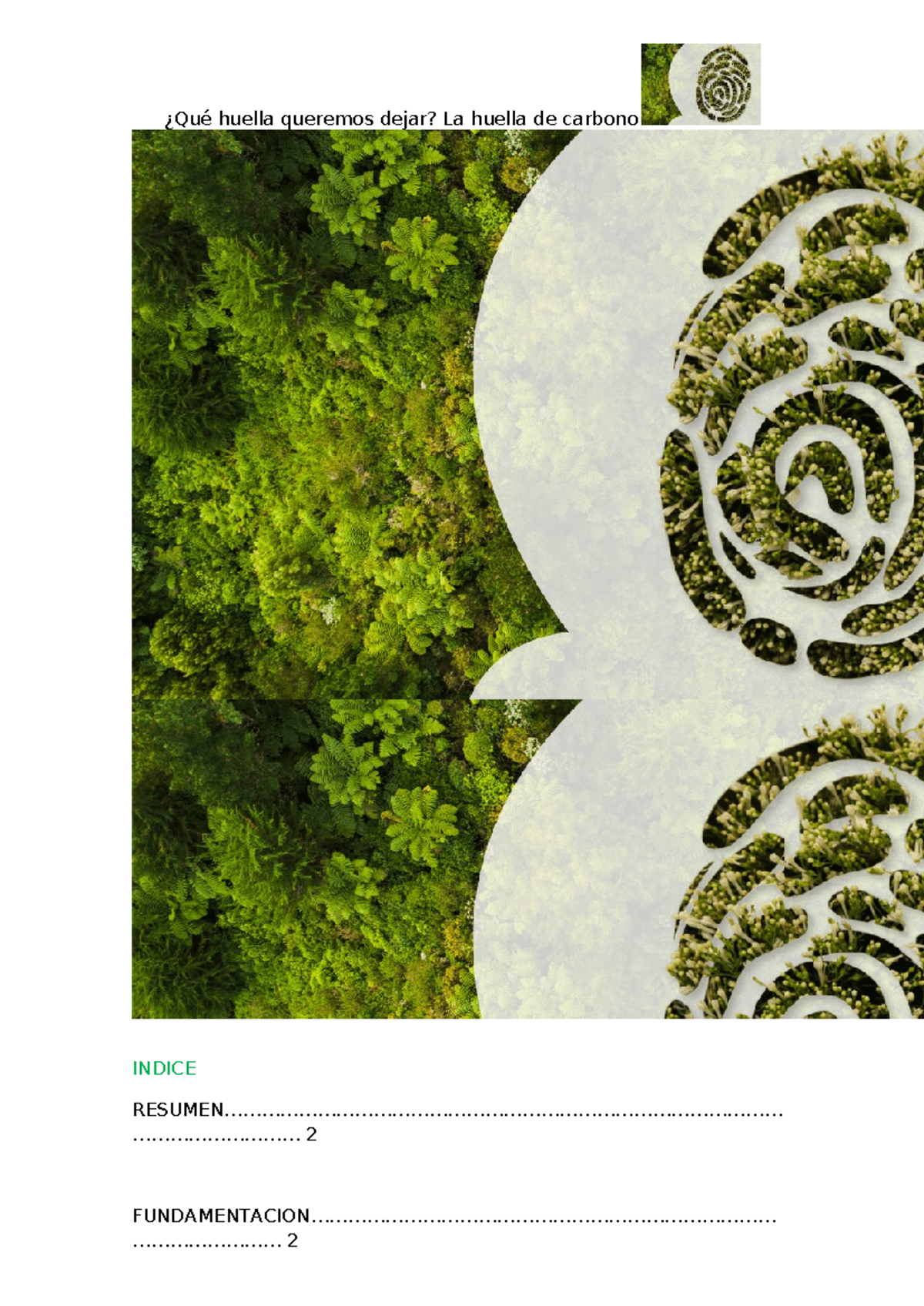 Proyecto Feria de Ciencias: Huella de Carbono y Sostenibilidad - Document Preview