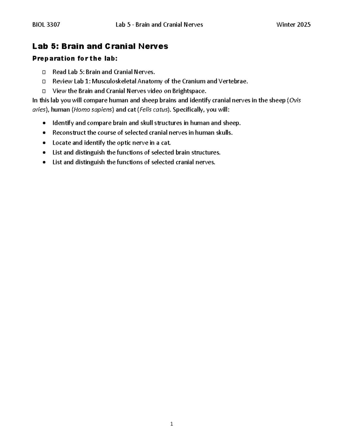 BIOL 3307 Lab 5: Brain and Cranial Nerves Overview Winter 2025 - Studocu
