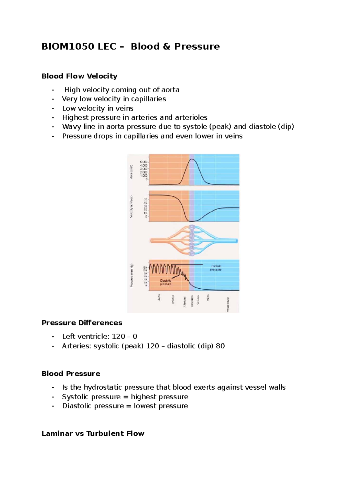 BIOM1050 LEC – Blood Pressure and Flow Dynamics Overview - Studocu