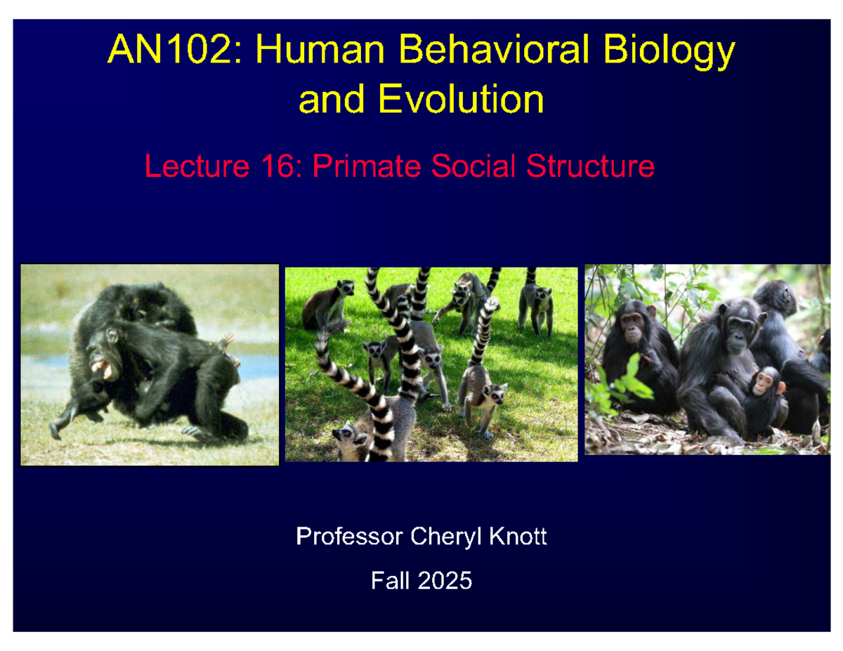 AN102: Lecture Notes on Primate Social Structure - Fall 2025 - Studocu
