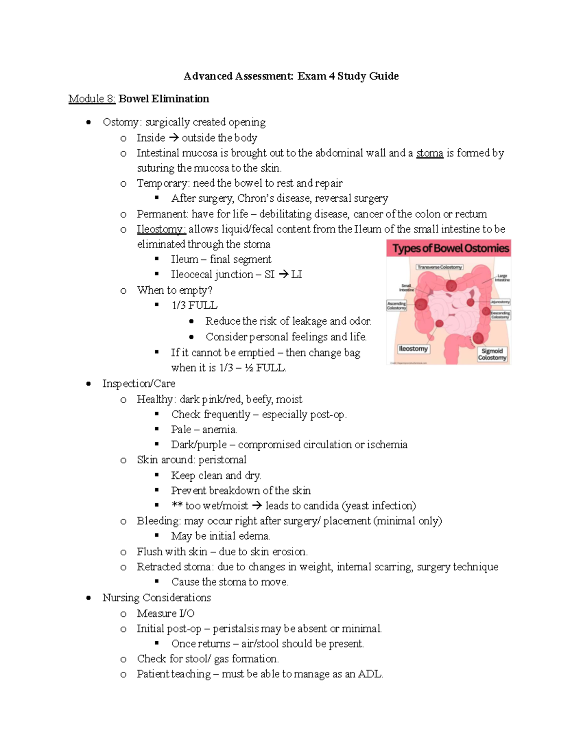 Advanced Assessment Study Guide: Exam 4 on Bowel & Urinary Elimination ...