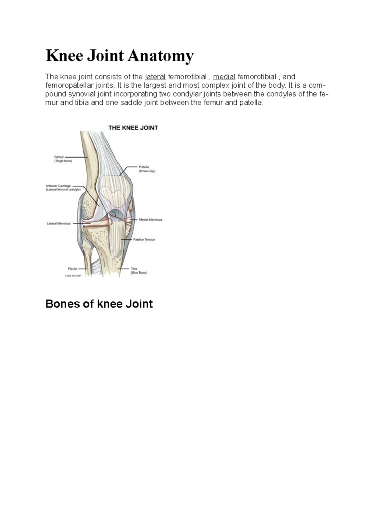 Knee Joint Anatomy - Lecture Notes Weeks 6-9 (Detailed Overview) - Studocu