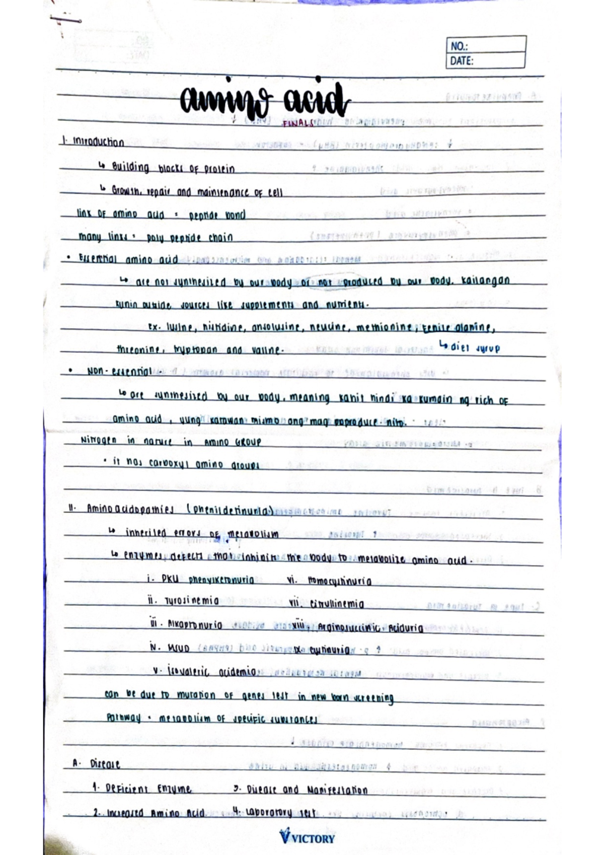 Amino Acid - NO.: DATE: anno acid FINALS 1. introduction Building ...