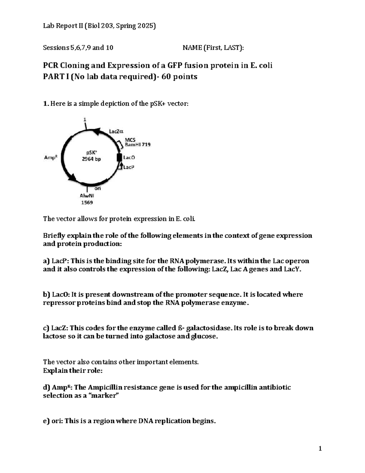 BIOL 203 Lab Report II: PCR Cloning & GFP Expression in E. coli - Studocu