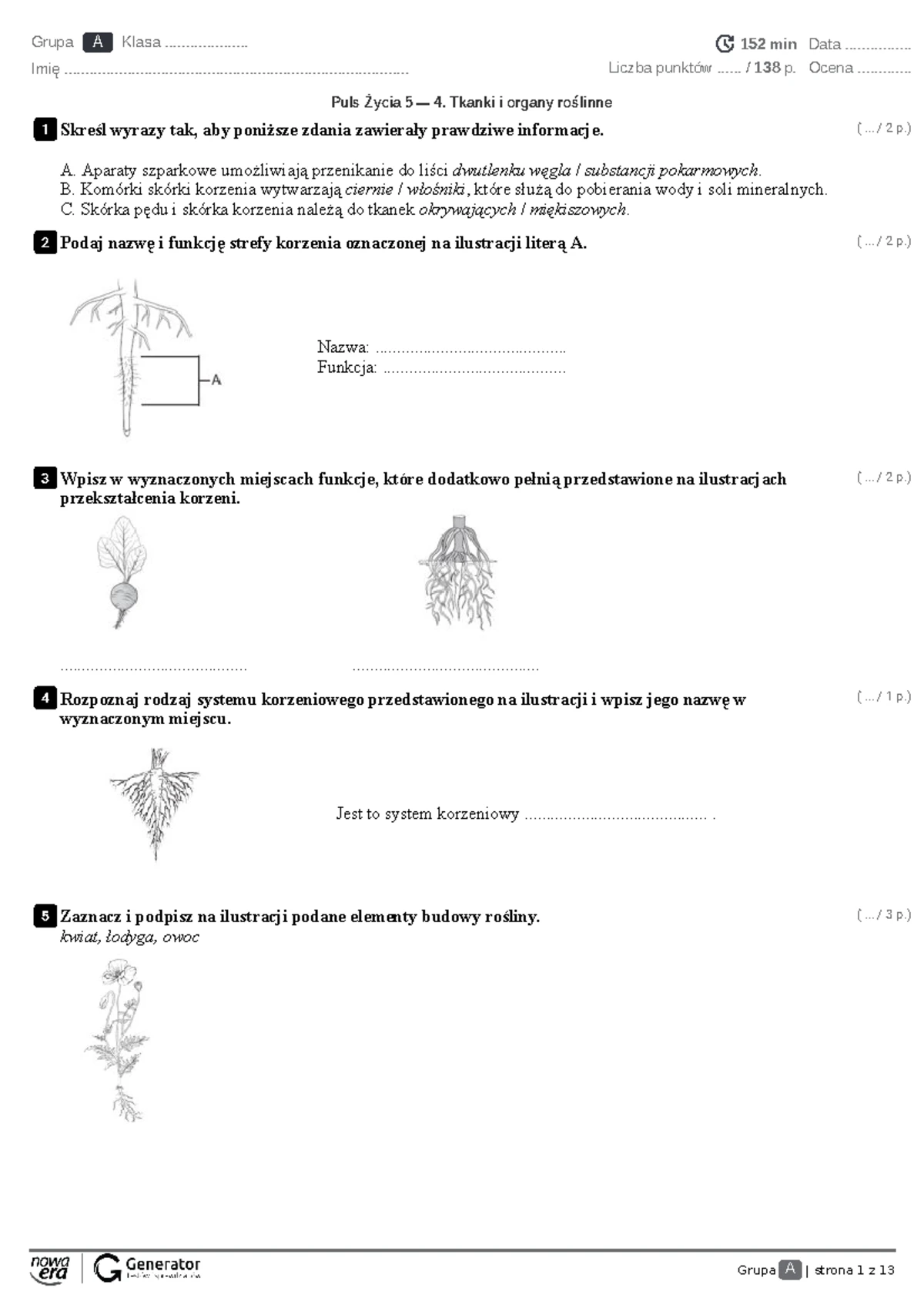 Sprawdzian Gimnazjum Biologia Puls życia www.studocu.com