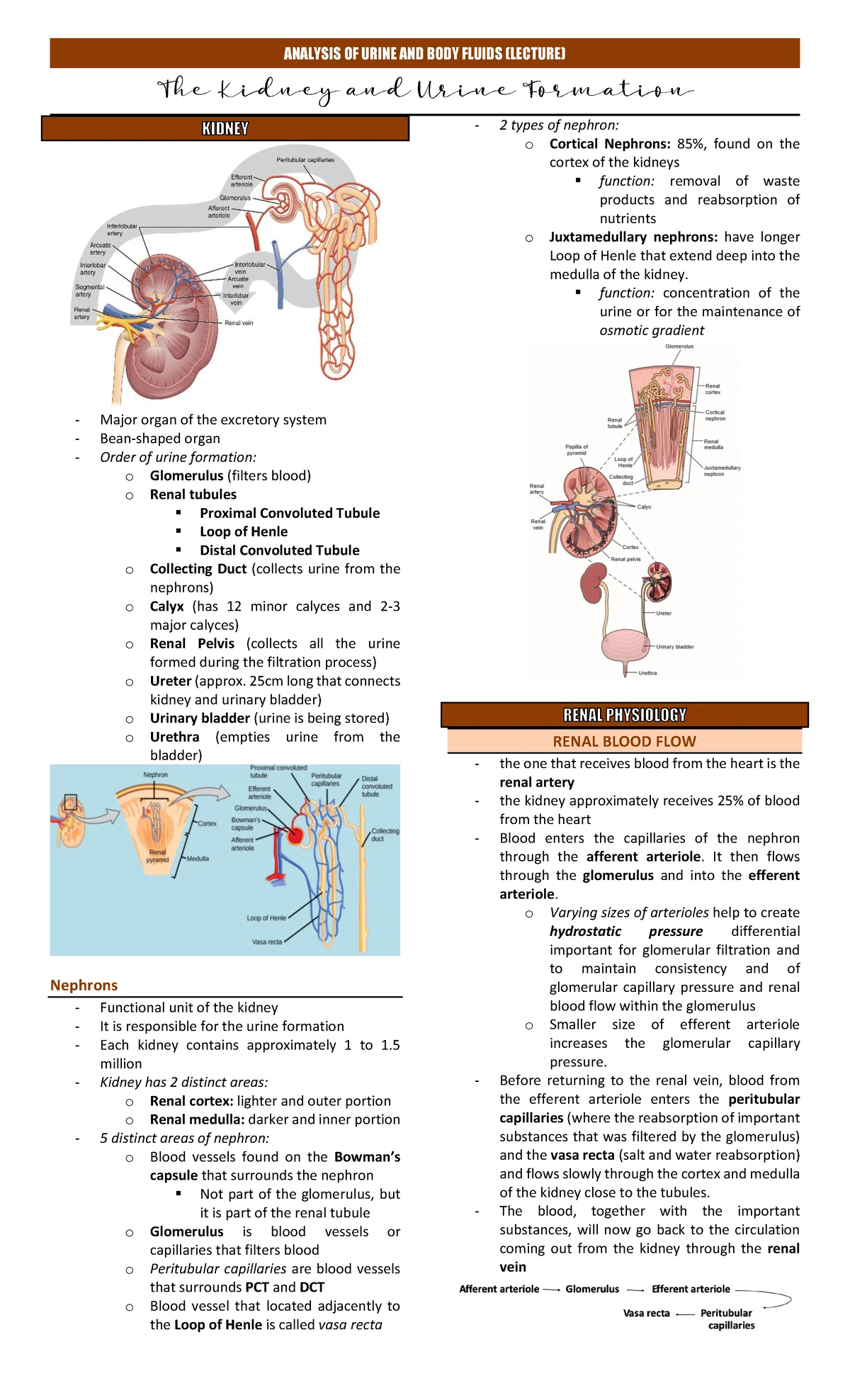Lecture Lesson 8. Fecalysis - COMPOSITION - Contains bacteria ...