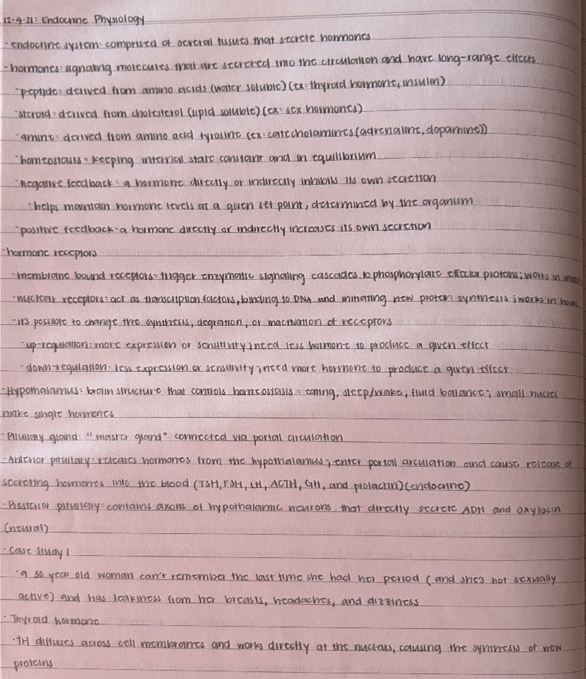 Endocrine Physiology notes + summary - Studocu