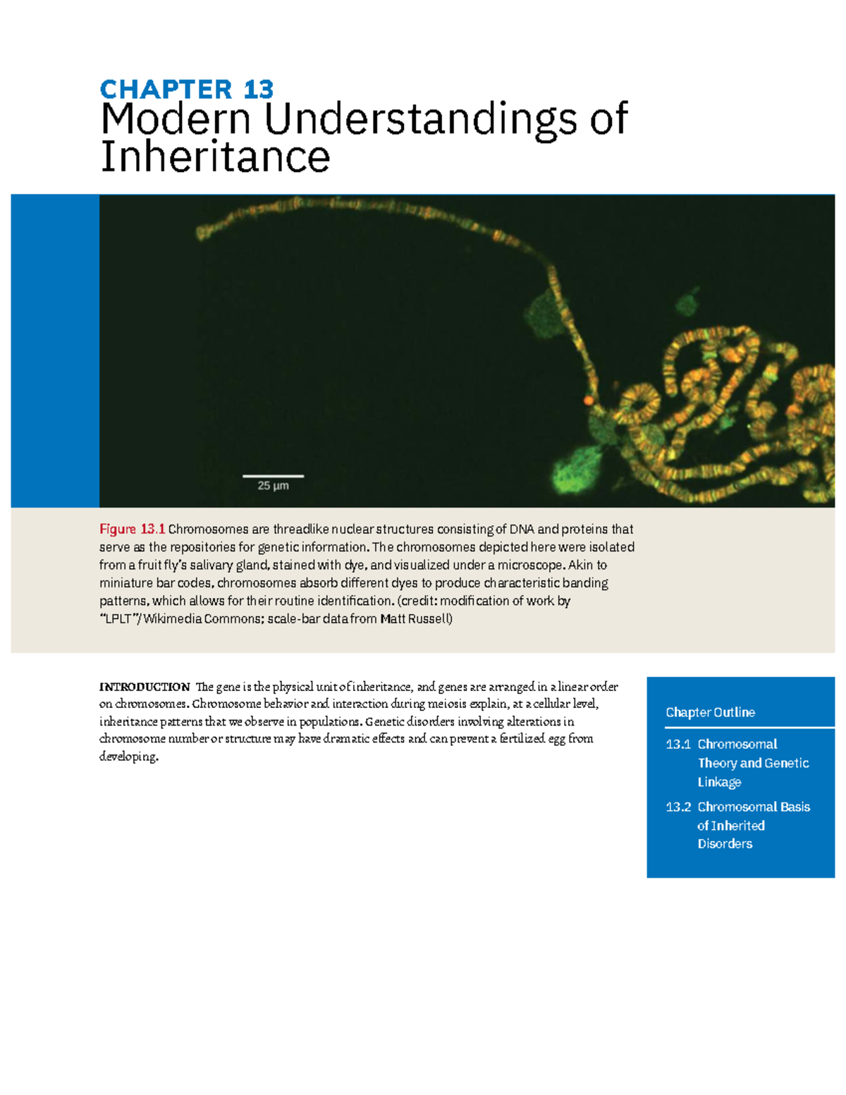 CHAPTER 13 Modern Understandings of Inheritance: Chromosomal Theory ...