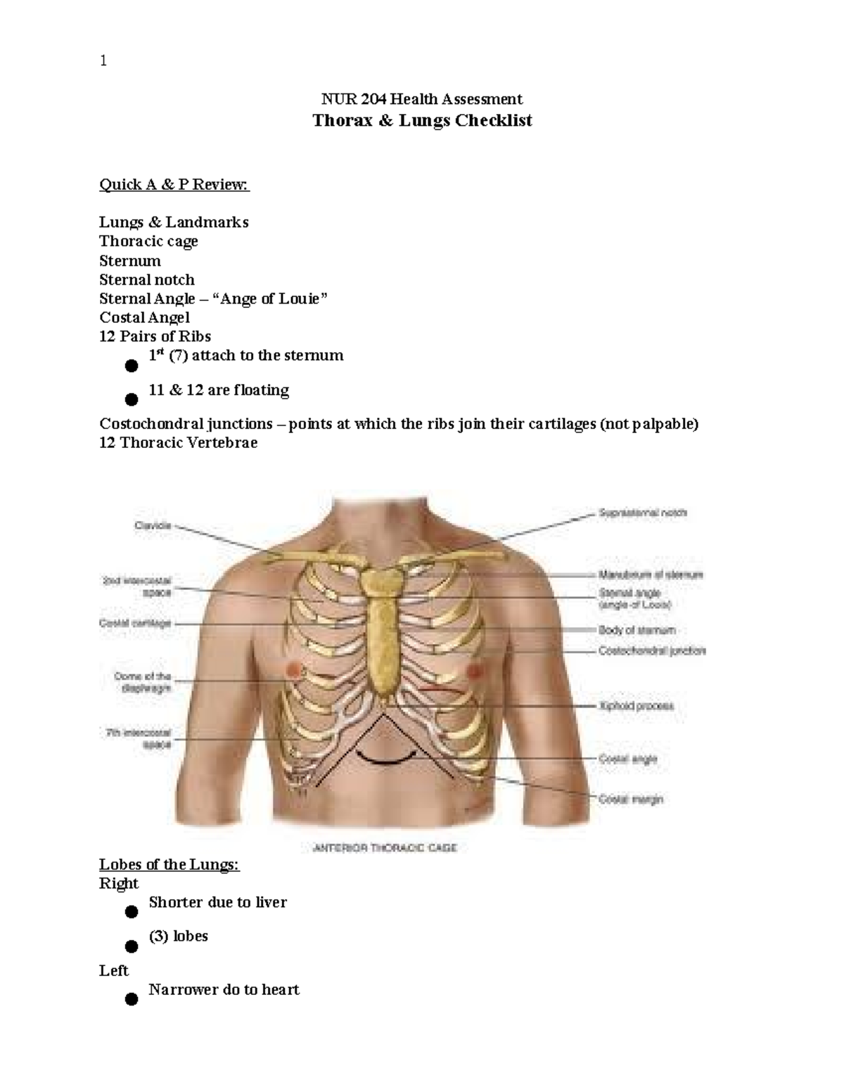 NUR 204 Health Assessment Thorax Lungs Checklist - Studocu