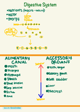 Cheat sheets for Studying Anatomy and Physiology in Honors - Studocu