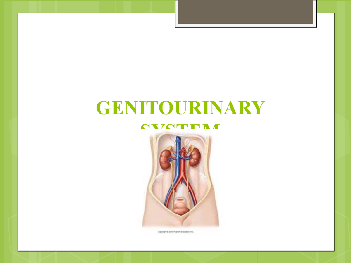 GU PP - Focused Assessment & Management of Genitourinary Disorders ...