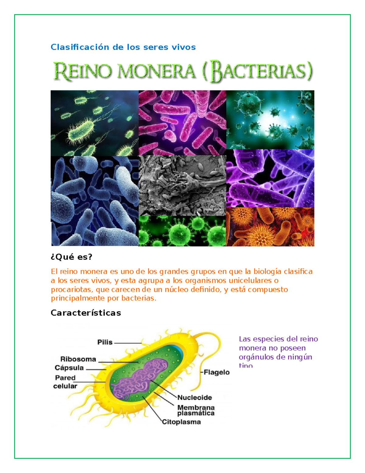 Clasificación del Reino Monera: Bacterias y Organismos Unicelulares -  Studocu