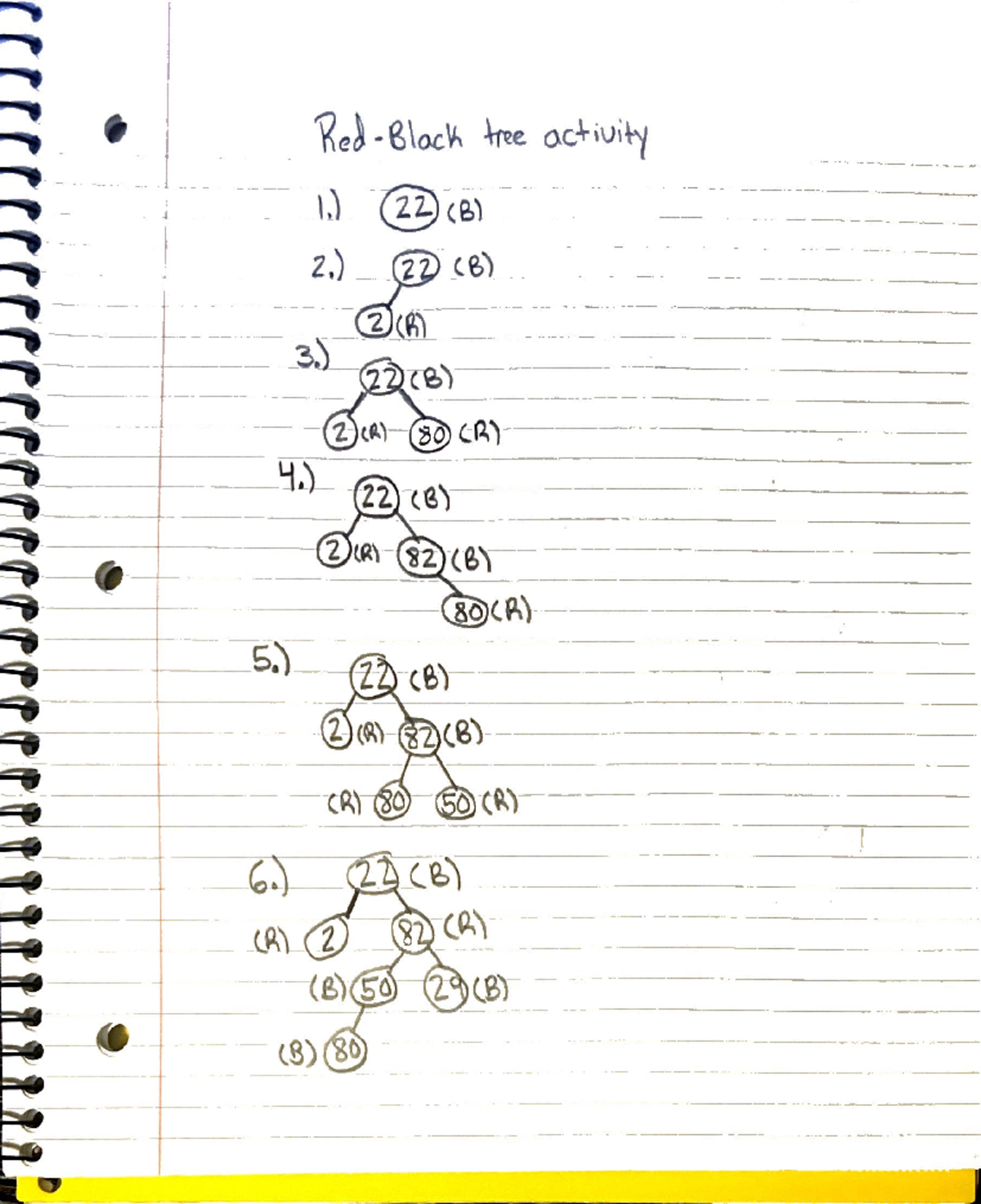 Red Tree Activity Notes for Course 22 (B) - April 2024 - Studocu