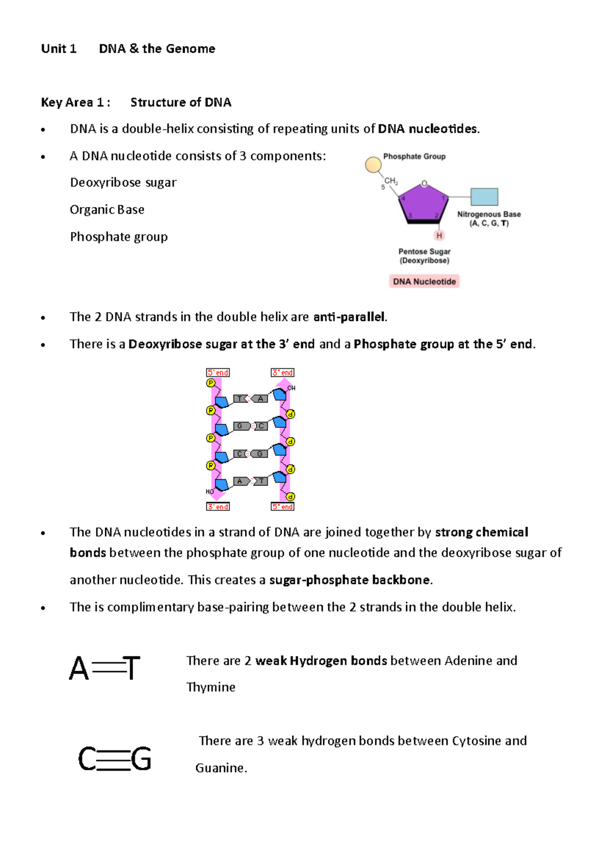 Unit 1: DNA and the Genome - Summary Notes on Key Areas - Studocu