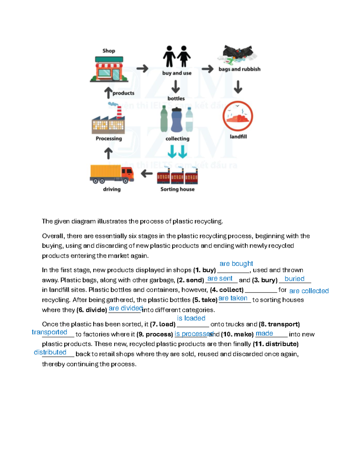 Plastic Recycling Process: Stages of Recycling Explained - Studocu