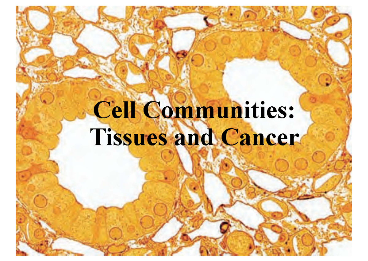 Cell Communities: Tissues, Stem Cells, and Cancer (TB-SHPT) - Studocu