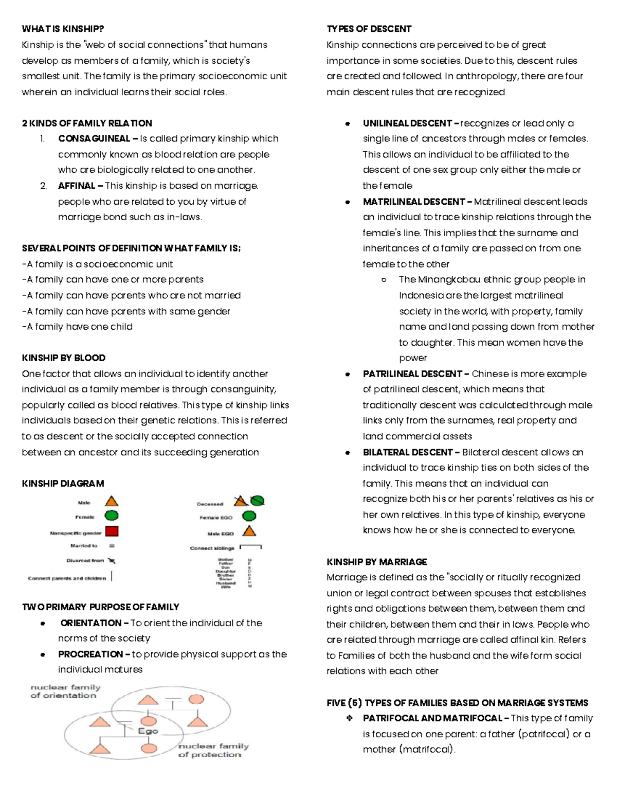 CSP 101: Kinship, Family Dynamics, and Societal Politics Explained ...