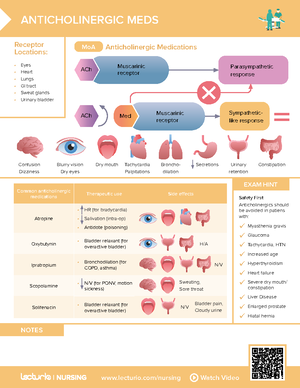 Graves (hyperthyroidism) & Hashimoto (hyperthyroidism) – Simplified by ...