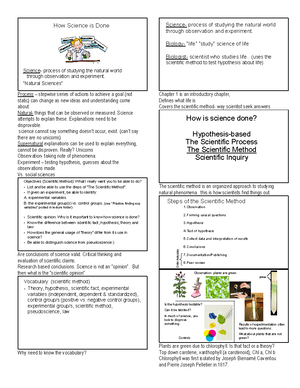 Biodiversity notes PDF - The Amazing Diversity of Life Biodiversity ...