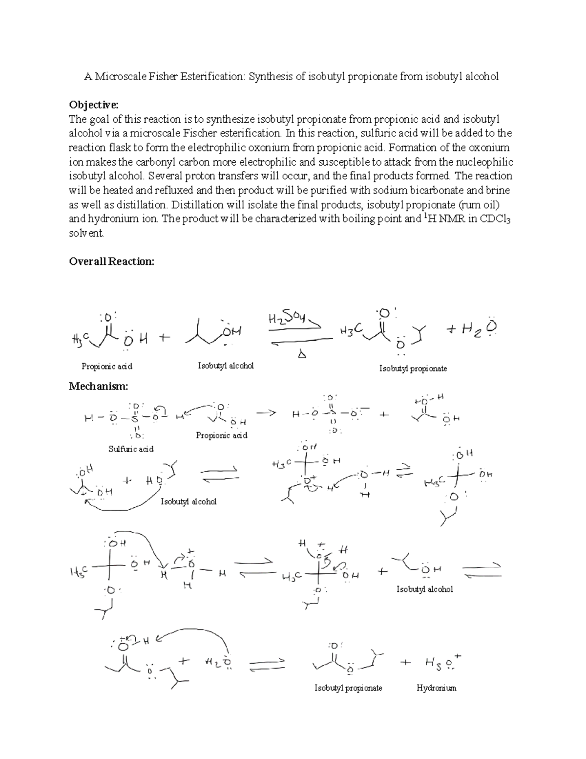 Lab Report Expt 9: Microscale Fischer Esterification of Isobutyl ...