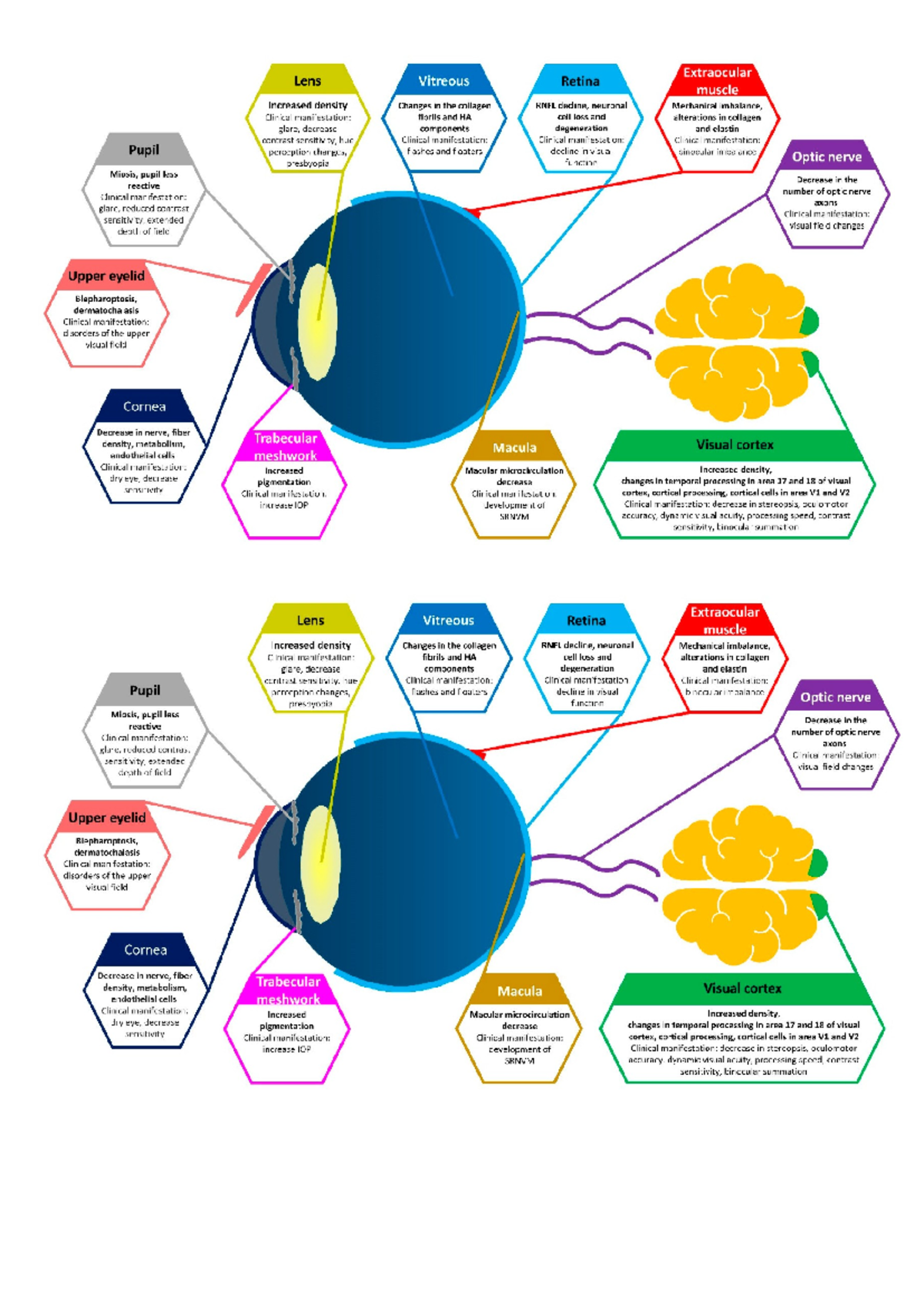 Vision Problems Summary: Key Insights and Considerations - Studocu